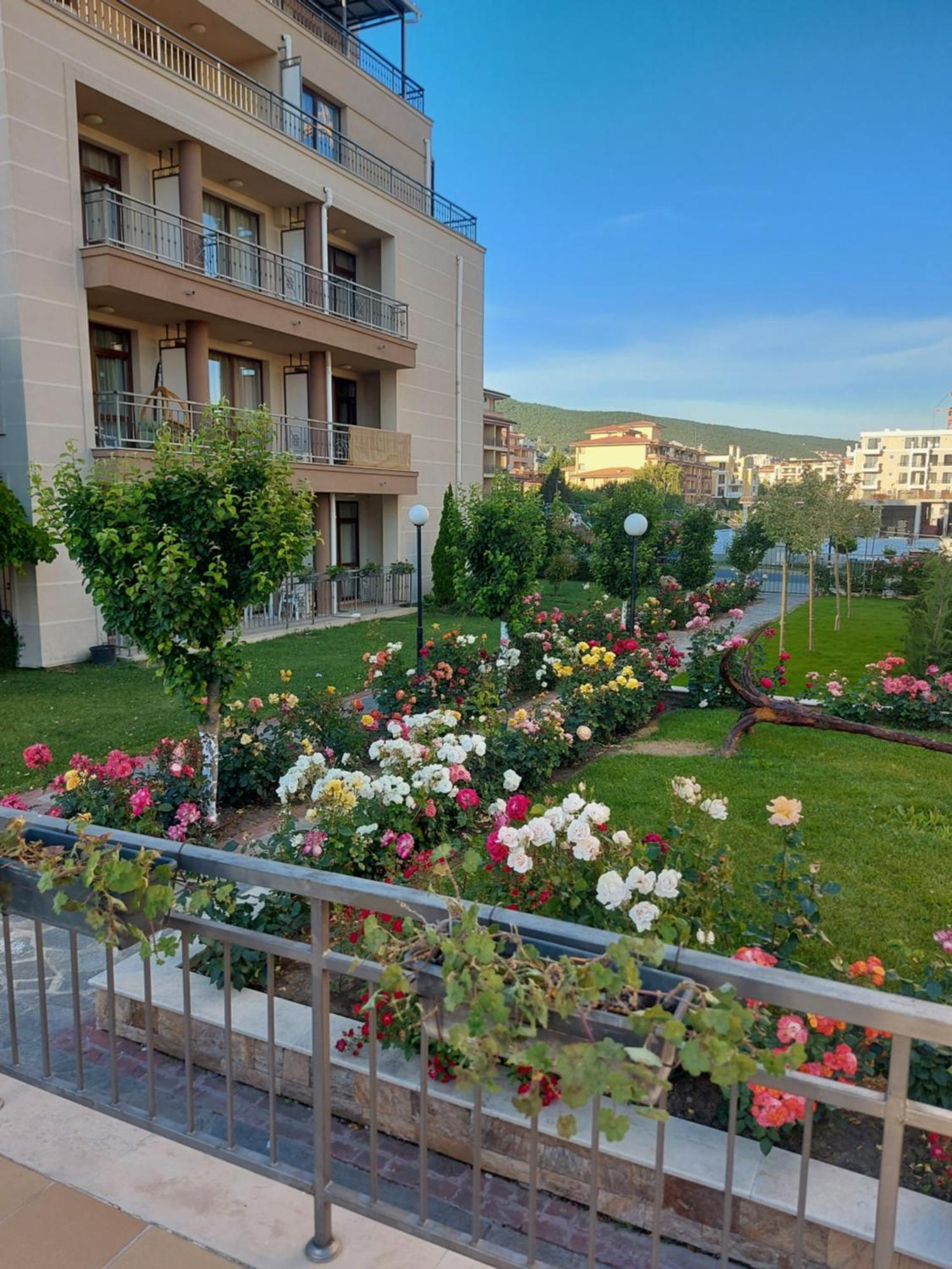 Charming Studio In Sorrento Sole Mare 圣弗拉斯 外观 照片